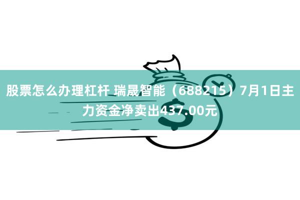 股票怎么办理杠杆 瑞晟智能（688215）7月1日主力资金净卖出437.00元