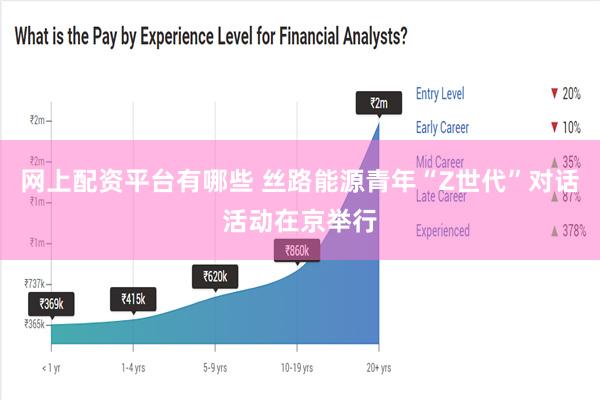 网上配资平台有哪些 丝路能源青年“Z世代”对话活动在京举行