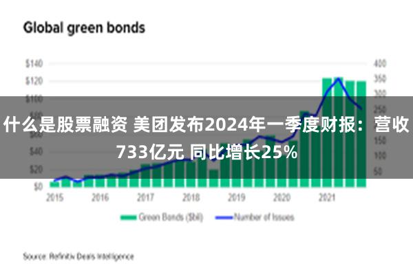 什么是股票融资 美团发布2024年一季度财报：营收733亿元 同比增长25%