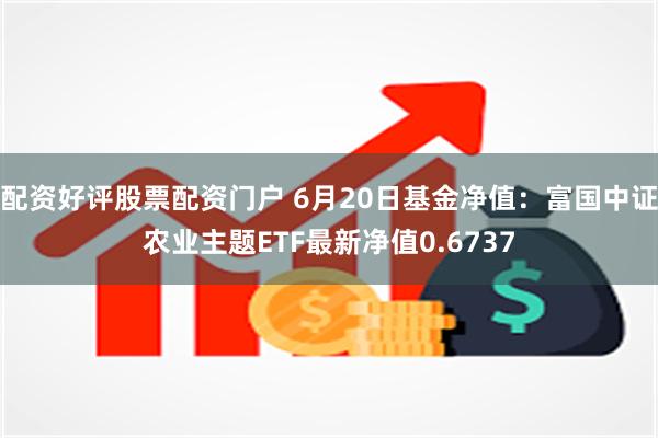 配资好评股票配资门户 6月20日基金净值：富国中证农业主题ETF最新净值0.6737